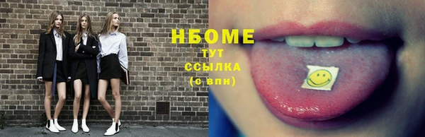Альфа ПВП Верея