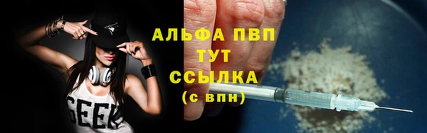 Альфа ПВП Верея