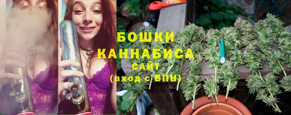 Альфа ПВП Верея