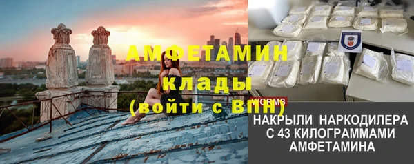 Альфа ПВП Верея