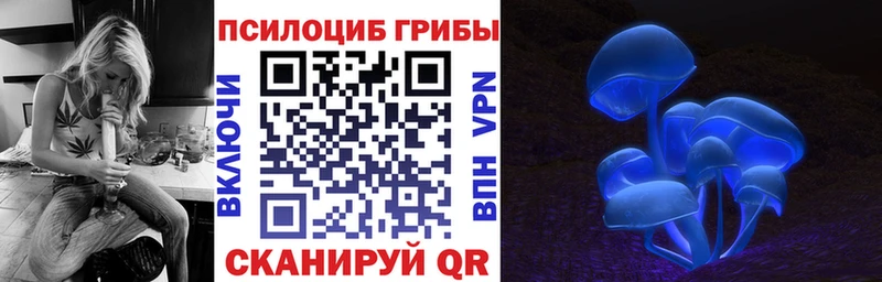 Галлюциногенные грибы ЛСД где купить Сургут